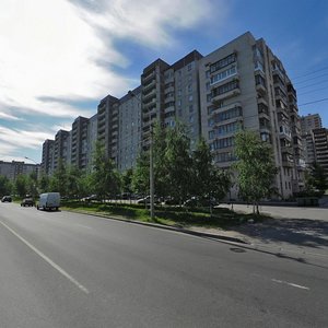 Kamyshovaya Street, 32к1 ، سان بطرسبرغ: صورة