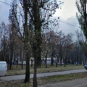 Vatslava Havela Boulevard, 45, Kyiv: photo