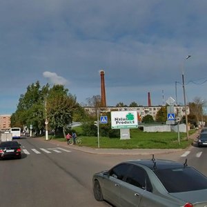 Leningradskoye Highway, 36, Vyborg: photo