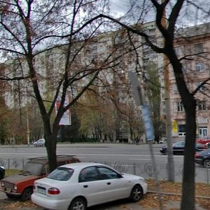 Holosiivskyi Avenue, 21, Kyiv: photo