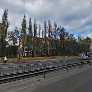 Oleny Telihy Street, 37 ، كييف: صورة