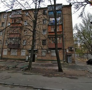 Bohdanivska Street, 5А, Kyiv: photo