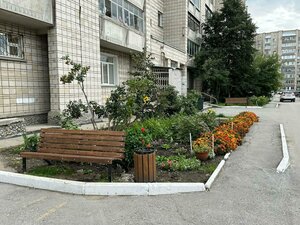 Demakova Street, 17/1, Novosibirsk: photo