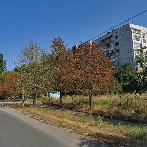 Vulytsia Petrovskoho, 119, Donetsk: photo