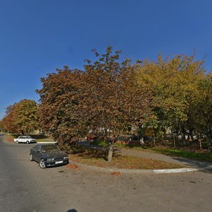 Batanichnaja Street, 10, Minsk: photo