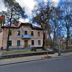 Yuriia Illienka Street, 20, Kyiv: photo