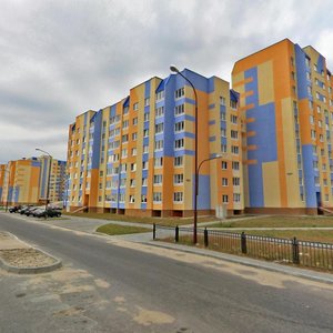 Брест, Улица Сальникова, 8: фото