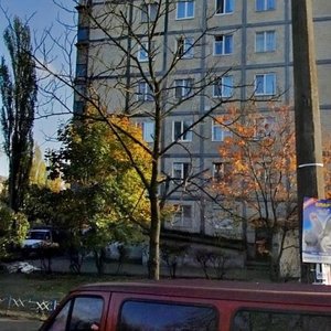 Perova Boulevard, 34/2, Kyiv: photo