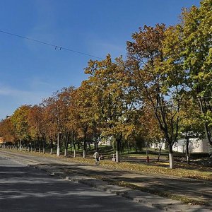 Dehtiarivska Street, 46, Kyiv: photo