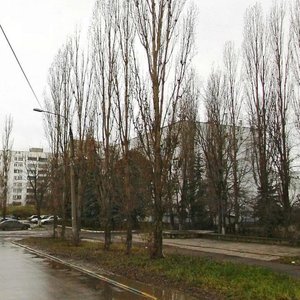 Geroya Yuriya Smirnova Street, 2, Nizhny Novgorod: photo