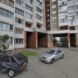 Akademika Zabolotnoho Street, 20, Kyiv: photo