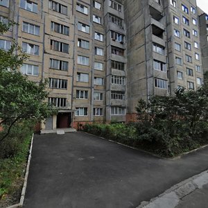 Vulytsia Shafaryka, 2, Lviv: photo
