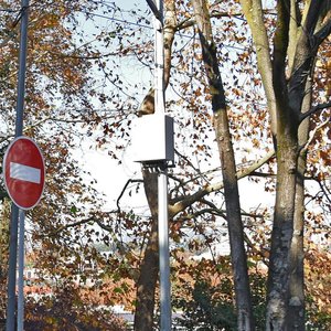 Voykova Street, 4, Sochi: photo