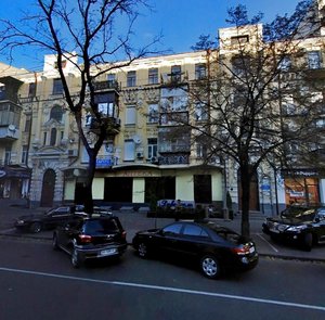 Velyka Vasylkivska Street, 81, Kyiv: photo