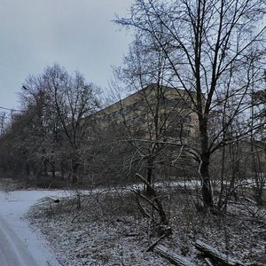 Druzhby Narodiv Street, 12, Pripyat: photo