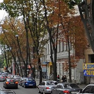 Pushkinska Street, 45, Kharkiv: photo