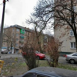 Derevlianska Street, 14, Kyiv: photo