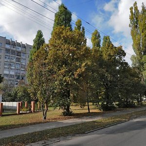 Prospekt Myru, 204, Chernihiv: photo