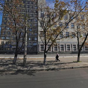 Bogdana Khmelnitskogo Street, 29, Kharkiv: photo