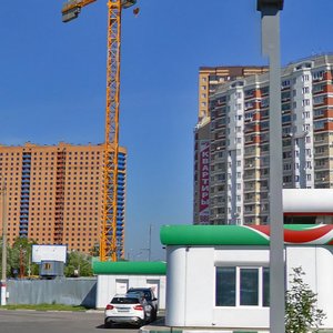 Akademika Chelomeya Street, 11, Reutov: photo