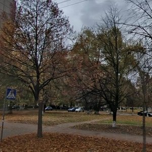 Kompozytora Liatoshynskoho Street, 4А, Kyiv: photo