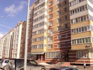 Чебоксары, Новогородская улица, 24: фото