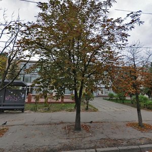 Lytvynenko-Volhemut Street, 3, Kyiv: photo