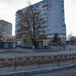 Vulytsia Yaroslava Mudroho, 64/2 ، : صورة