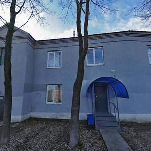 Budyonnogo Street, 97, Tula: photo