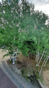 Yurina Street, 174, Barnaul: photo