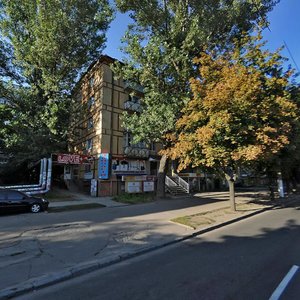 Haharina Avenue, 84, Dnipro: photo