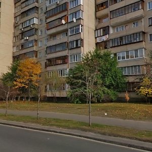 Drahomanova Street, 27, Kyiv: photo