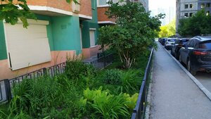 Kievskaya Street, 13, Samara: photo