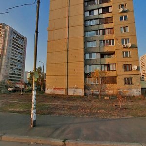 Larysy Rudenko Street, 10А ، كييف: صورة