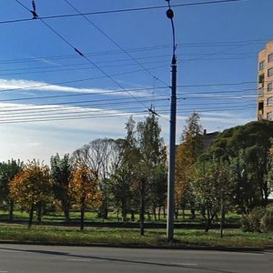 Ижевск, Улица 50 лет Пионерии, 20: фото