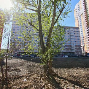 Екатеринбург, Боровая улица, 31: фото