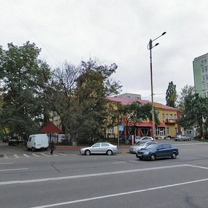 Mytropolyta Vasylia Lypkivskoho Street, No:33, Kiev: Fotoğraflar