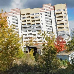 Pugachyova Street, 62, Vladimir: photo
