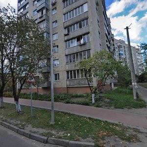 Kyivska vulytsia, 1 ، : صورة