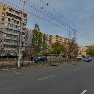 Heroiv Dnipra Street, 45, Kyiv: photo