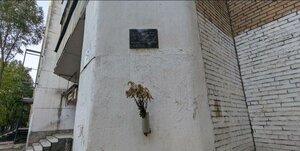 Vladimirskaya Street, 23, Samara: photo