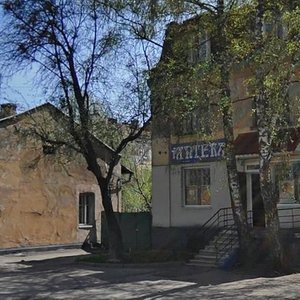 Horodotska vulytsia, 223, Lviv: photo