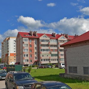 Zavokzalnaya Street, 3, Veliky Novgorod: photo