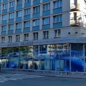 Moskovskiy Avenue, 86 ، سان بطرسبرغ: صورة