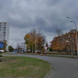 Marshala Yakubovskoho Street, 11, Kyiv: photo