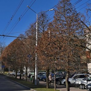 Lenina Street, 365, Stavropol: photo