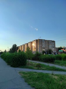 Волжский, Улица Мира, 79: фото