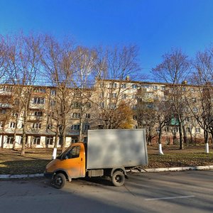 Frunze Street, 17, Tula: photo