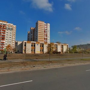 Serzha Lyfaria Street, 8, Kyiv: photo