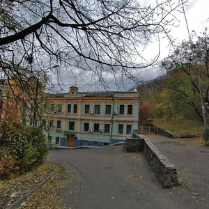 Borychiv Descent, 8, Kyiv: photo